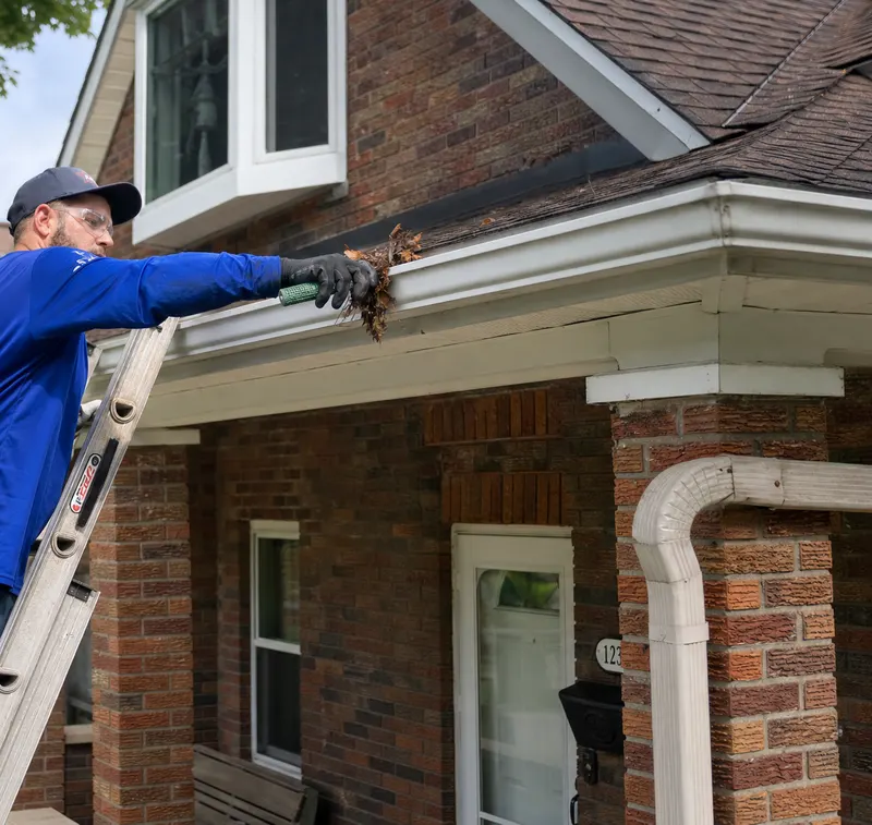 Clearing packed leaves from a gutter on a brick two-story home